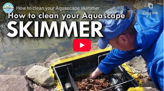 Aquascape Skimmer